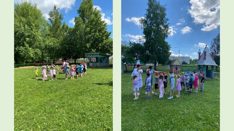 Летние прогулки Летние прогулки.